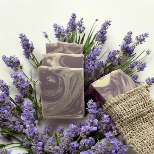 Lavender